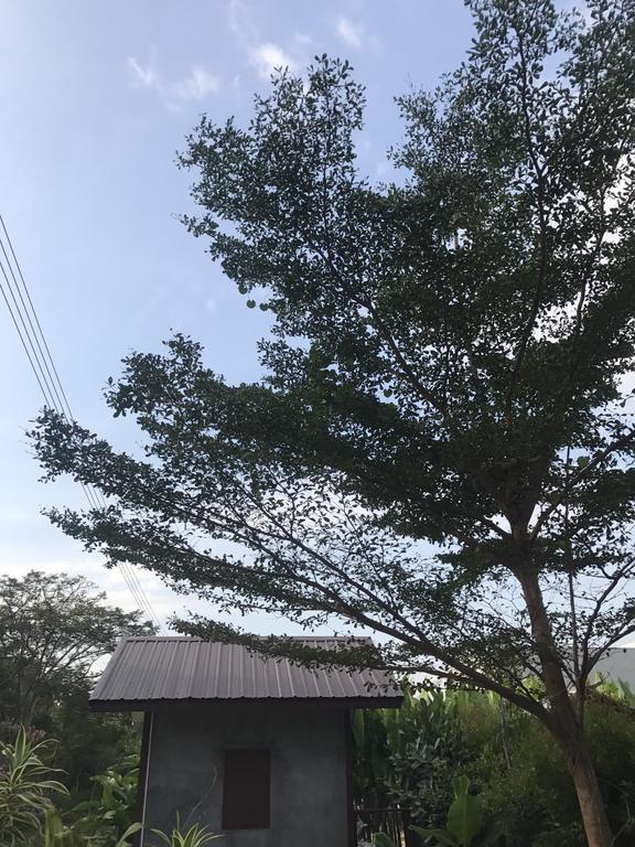 Jim Guesthouse Kanchanaburi Esterno foto